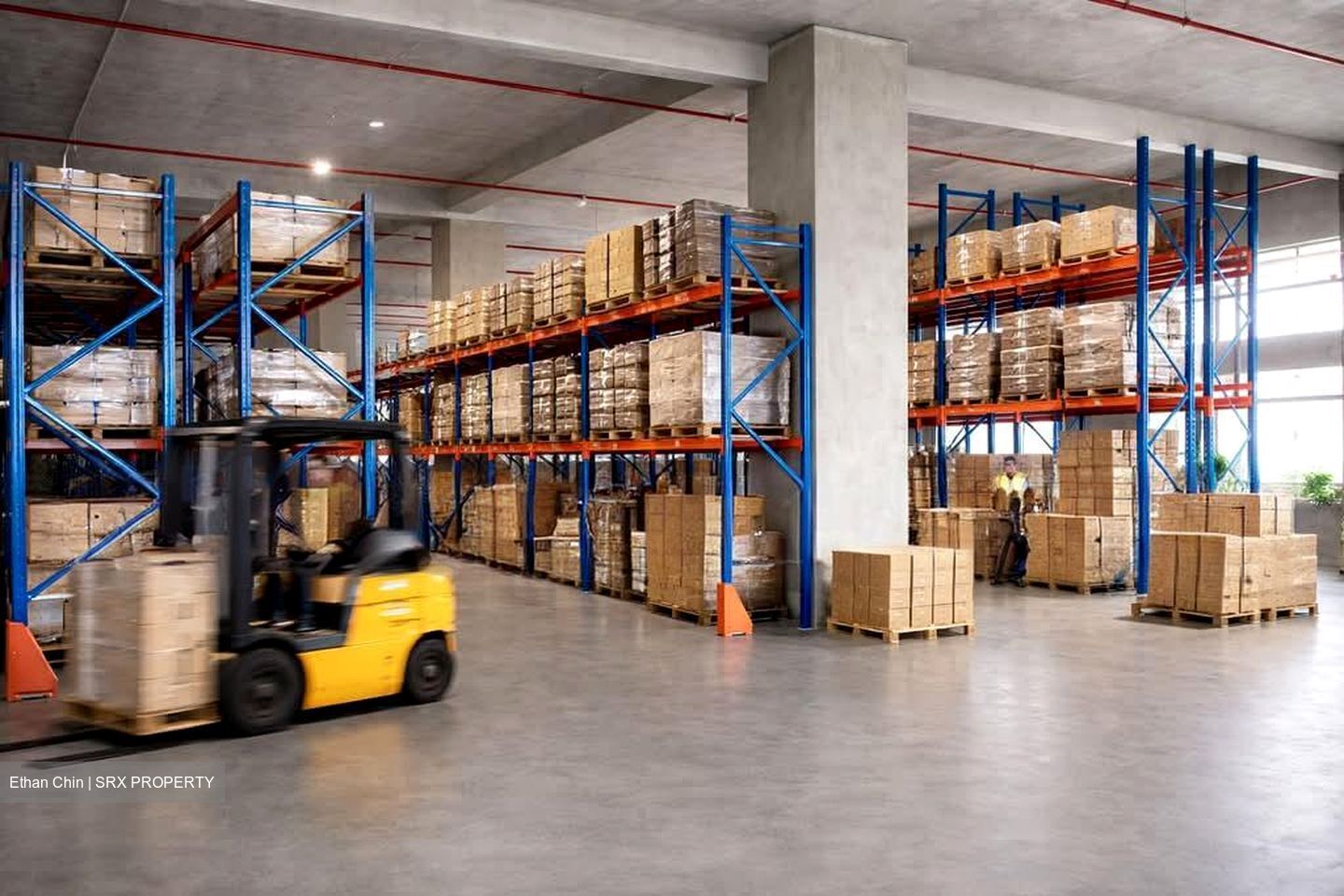 Tuas Avenue 9 (D22), Warehouse #608702401